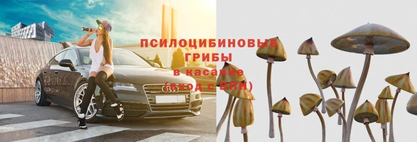 мяу мяу мука Заволжск