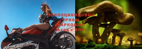 мяу мяу мука Заволжск