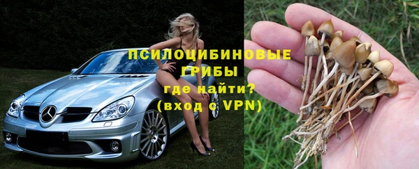 MESCALINE Покачи