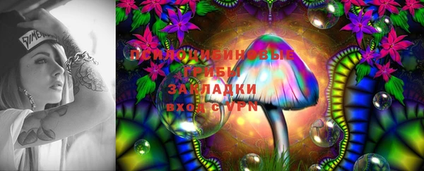 прущий лед Пересвет