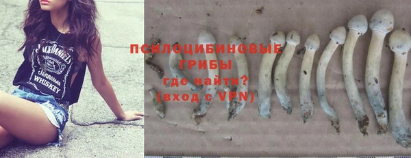дмт Переславль-Залесский